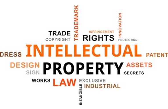 Caption: India climbed eight places in the 2019 International Intellectual Property (IP) Index, ranking at 36th position among 50 countries
