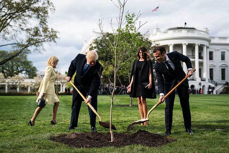 President Emmanuel Macron to send President Donald Trump a new tree after the death of the first co-planted oak