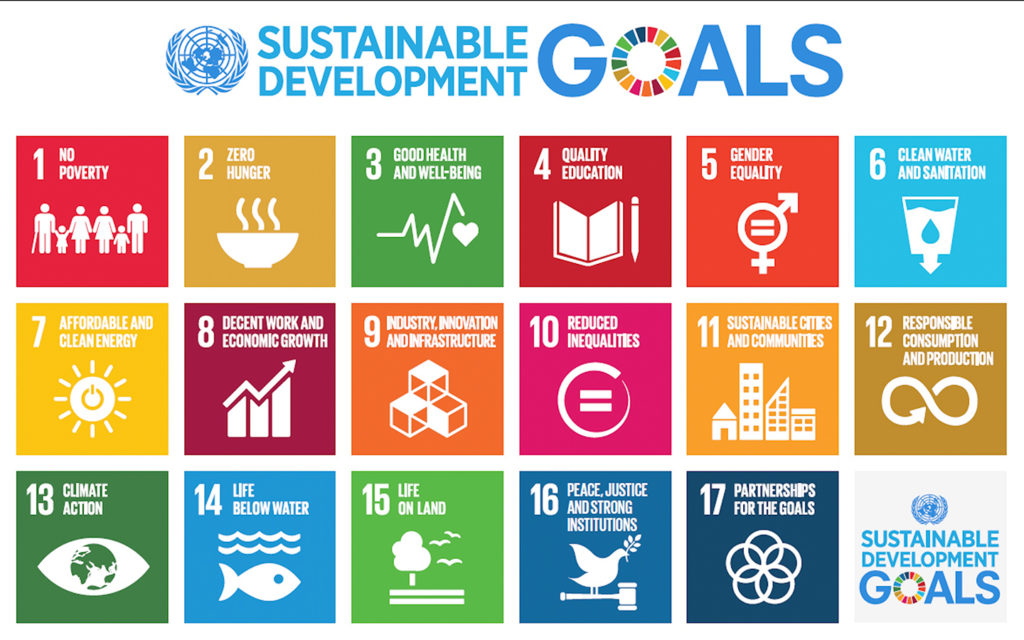 The 17 UN Sustainable Development Goals 2030 – caption