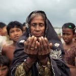 rohingya