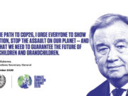 The Paris Agreement after Five Years of Its Implementation