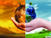 Sweden Ranks Highest In The Climate Change Performance Index, India Slips to Number Ten