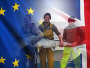 Northern Protocol raises legal concerns this time