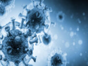 Countries Demand Separation of Science From Politics To Fight the COVID 19