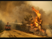 Climate Change: Wildfire Causes’ Devastation