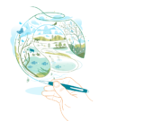 Amazon’s Carbon Crisis