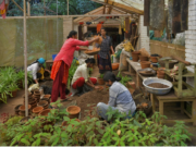 Women Saving India’s Western Ghats Forest