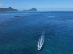 Strengthening Regional  Partnerships and Cooperation in the Indian Ocean Rim Association ( IORA )