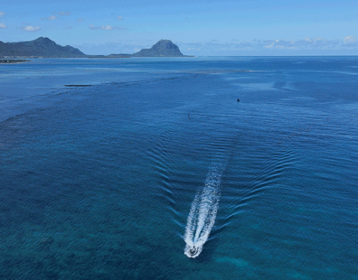 Strengthening Regional  Partnerships and Cooperation in the Indian Ocean Rim Association ( IORA )