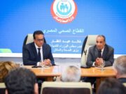 Egypt Leverages Diplomacy to Strengthen Global Health Partnerships