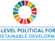 High-level Political Forum on Sustainable Development (HLPF) 2025