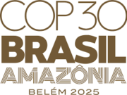 COP30: A Roadmap for Global Climate Action in the Amazon