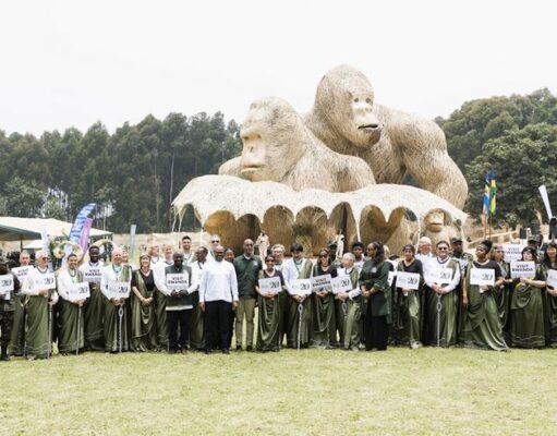 Rwanda Celebrates 20th Edition of Gorilla Naming Ceremony