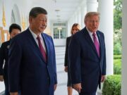 China’s Panda Diplomacy Renews US- China Relations